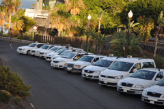 Taxi Driver Santa Cruz Tenerife autos estacionados